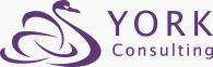 York Consulting
